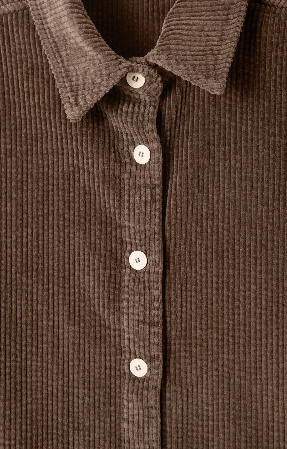 American Vintage Shirt in Vintage Bear